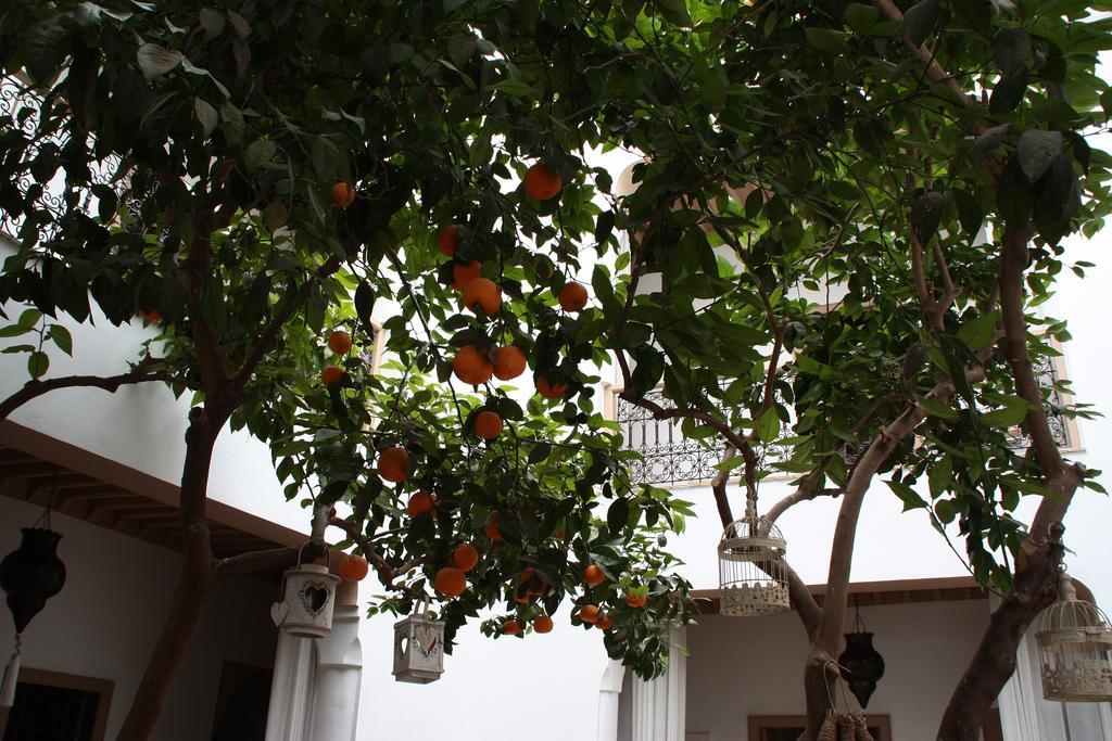 Riad Les Orangers D'Alilia Marrakesh Exterior photo