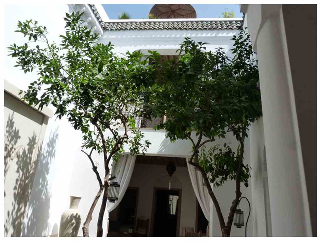 Riad Les Orangers D'Alilia Marrakesh Exterior photo